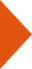 bullet